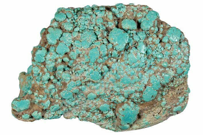 Tumbled Turquoise Specimen - Number Mine, Carlin, NV #292294